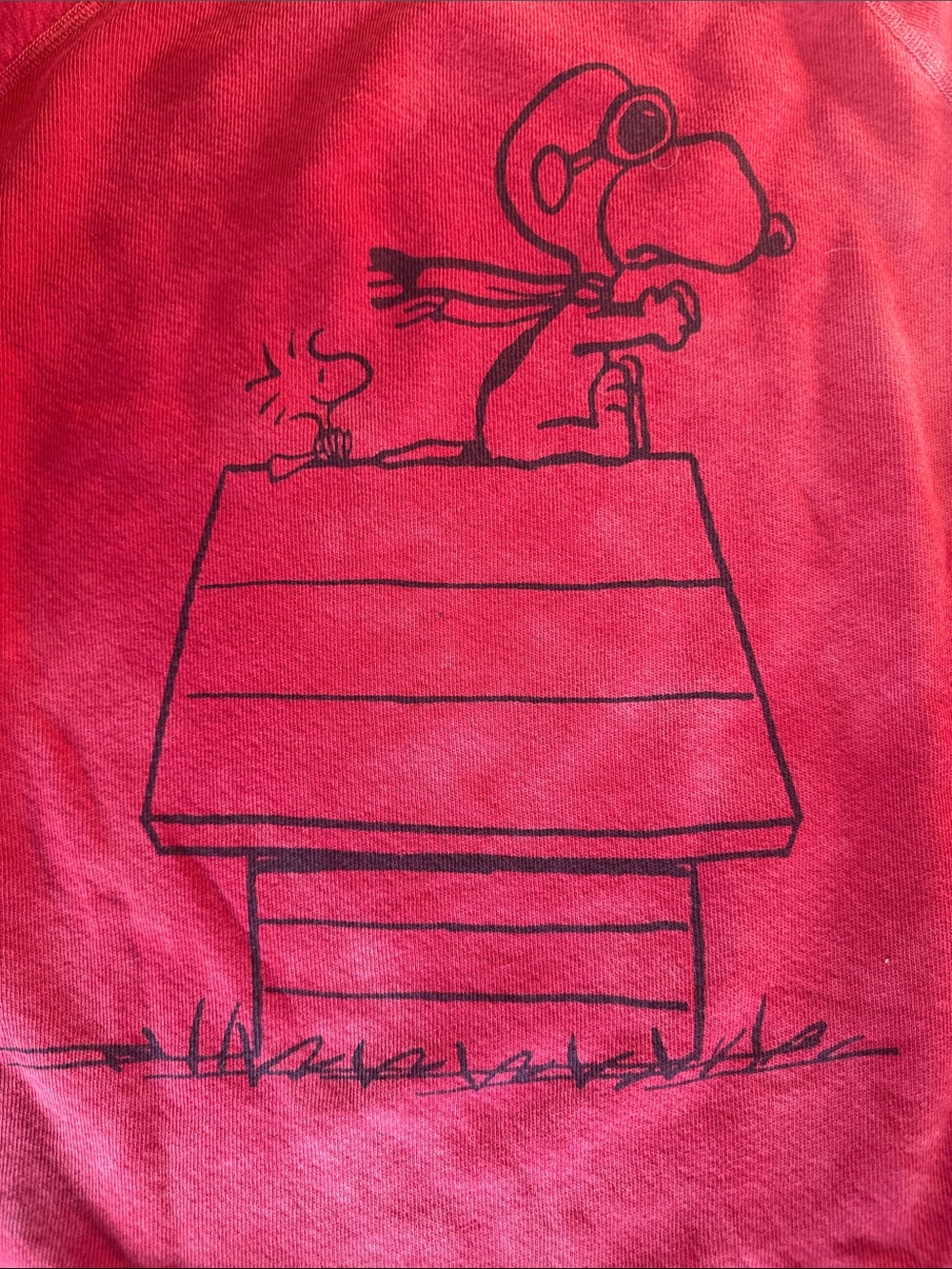 FREECITY x Peanuts Snoopy Sweatshirt – “Basic Goodness” – Pink – Size M - Picture 3 of 4